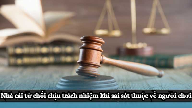 Miễn trừ trách nhiệm 8s do lỗi người chơi