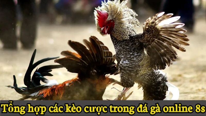 kèo cược đá gà online 8s