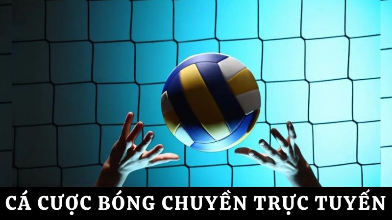cá cược thể thao bóng chuyền