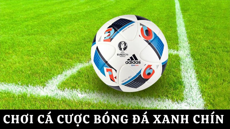 cá cược thể thao bóng đá