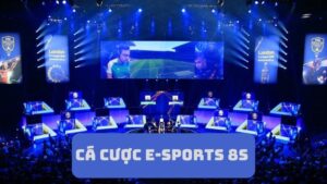 E-Sports 8s